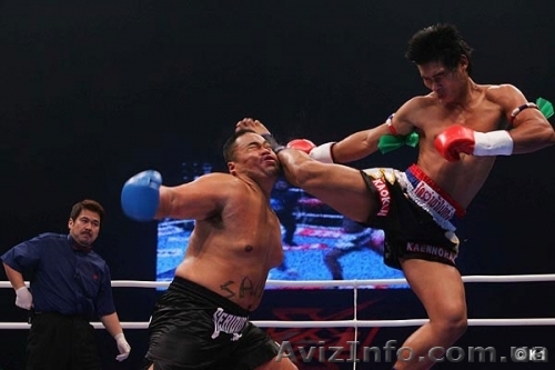 Тайский бокс, Кунг фу, Йога - <ro>Изображение</ro><ru>Изображение</ru> #1, <ru>Объявление</ru> #13926