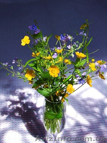 Оригінальні привітання на українській та російській мовах  - <ro>Изображение</ro><ru>Изображение</ru> #1, <ru>Объявление</ru> #80815