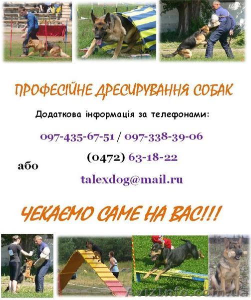 Професиональная дрессировка собак! Черкассы, Украина - <ro>Изображение</ro><ru>Изображение</ru> #1, <ru>Объявление</ru> #116540