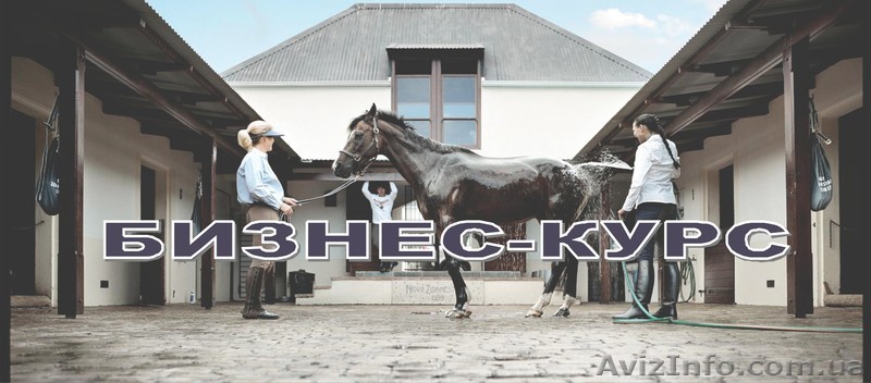 Черкассы,Бизнес-курсы - <ro>Изображение</ro><ru>Изображение</ru> #1, <ru>Объявление</ru> #328808