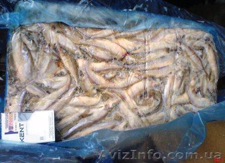 Рыба свежомороженая - <ro>Изображение</ro><ru>Изображение</ru> #1, <ru>Объявление</ru> #577472