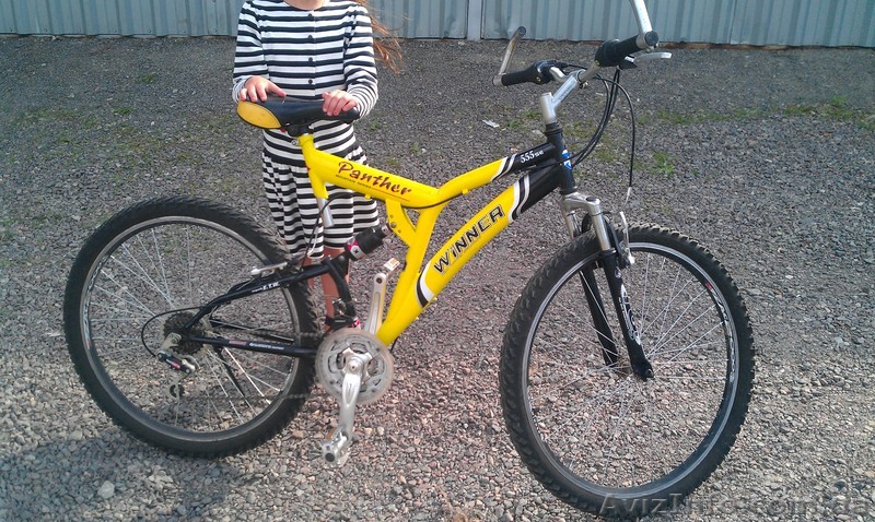 Panther WINNER продам...!!! - <ro>Изображение</ro><ru>Изображение</ru> #1, <ru>Объявление</ru> #660077