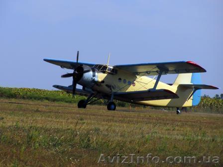 Десикация подсолнечника дельтаплан. Десикація соняшнику сельхозавиация - <ro>Изображение</ro><ru>Изображение</ru> #1, <ru>Объявление</ru> #732688
