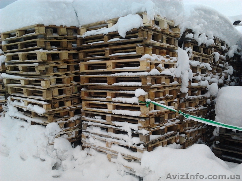 Поддоны облегченные б/у 2-й сорт  - <ro>Изображение</ro><ru>Изображение</ru> #1, <ru>Объявление</ru> #828411