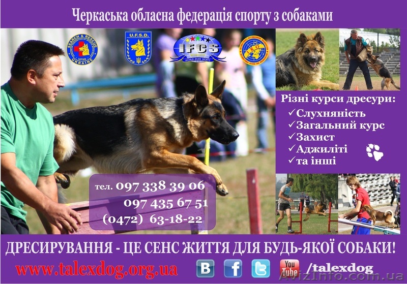 ДРЕССИРОВКА СОБАК В ЧЕРКАССАХ! - <ro>Изображение</ro><ru>Изображение</ru> #1, <ru>Объявление</ru> #894375