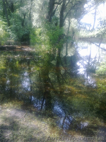 Услуги массажистки - <ro>Изображение</ro><ru>Изображение</ru> #1, <ru>Объявление</ru> #943265