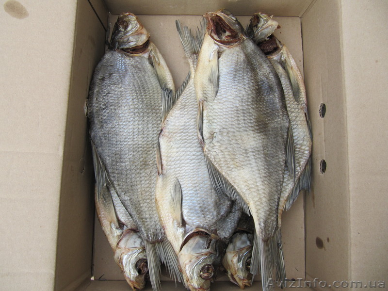 Продам лещ вяленный - <ro>Изображение</ro><ru>Изображение</ru> #1, <ru>Объявление</ru> #977913