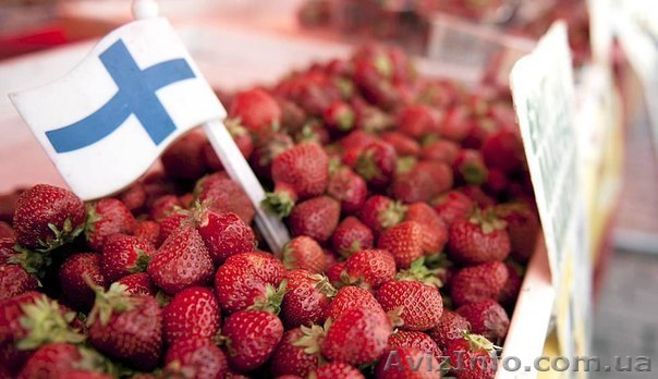 Работа в Финляндии - <ro>Изображение</ro><ru>Изображение</ru> #1, <ru>Объявление</ru> #1091675