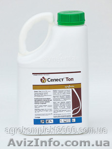 Выгодная цена, Протравитель Селест Топ Syngenta, Селест топ цена 65$/л. - <ro>Изображение</ro><ru>Изображение</ru> #1, <ru>Объявление</ru> #1219297