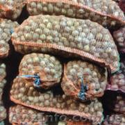 Продам картофель отменного качества - <ro>Изображение</ro><ru>Изображение</ru> #1, <ru>Объявление</ru> #1236913