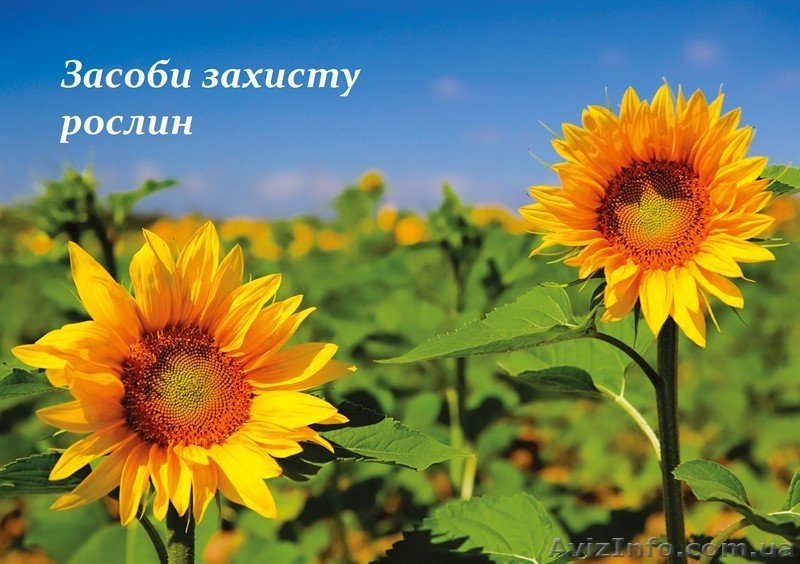 Гербициды СЗР и Удобрения - <ro>Изображение</ro><ru>Изображение</ru> #1, <ru>Объявление</ru> #1238898