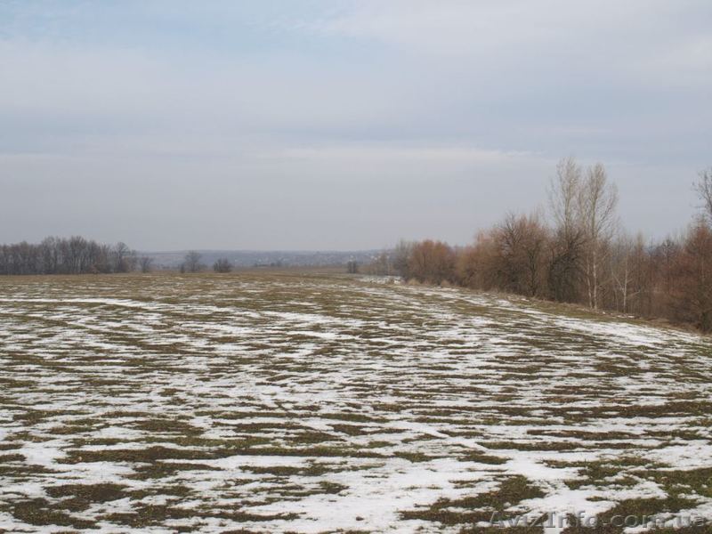 Продам земельный участок, пай  - <ro>Изображение</ro><ru>Изображение</ru> #1, <ru>Объявление</ru> #1306386