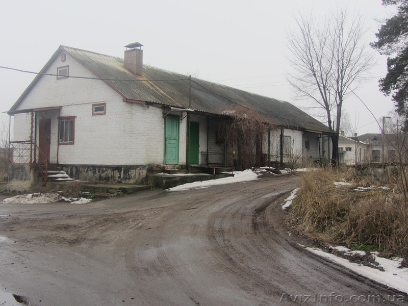 Промышленное помещение бывший колбасный цех  - <ro>Изображение</ro><ru>Изображение</ru> #1, <ru>Объявление</ru> #1331676