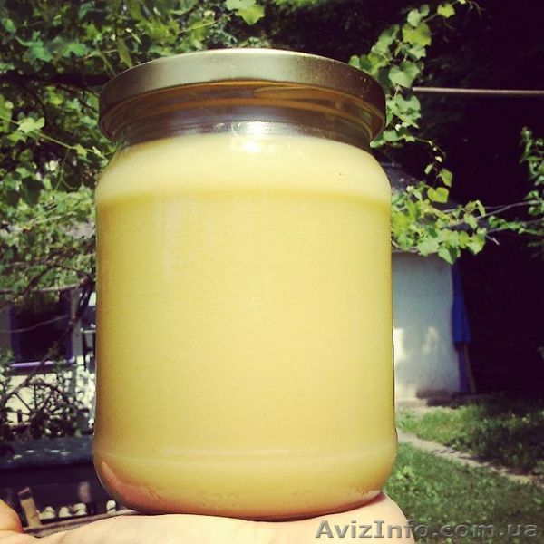 Масло Гхи (Ги) на заказ - очищенное топленое домашнее сливочное масло - <ro>Изображение</ro><ru>Изображение</ru> #1, <ru>Объявление</ru> #1461002