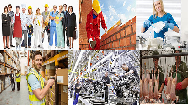 Работа за рубежом, Польша, Чехия, Венгрия, Литва, Германия - <ro>Изображение</ro><ru>Изображение</ru> #1, <ru>Объявление</ru> #1527917