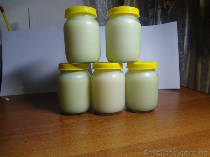 Барсучий жир (натуральный) - <ro>Изображение</ro><ru>Изображение</ru> #1, <ru>Объявление</ru> #1531503