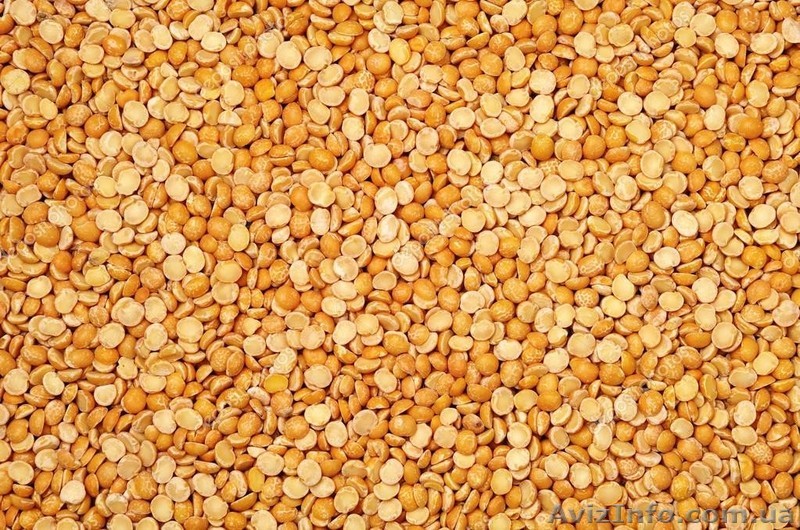 Куплю сою и не кондицию - <ro>Изображение</ro><ru>Изображение</ru> #1, <ru>Объявление</ru> #1547940