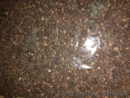 Чорний перець горошок - <ro>Изображение</ro><ru>Изображение</ru> #1, <ru>Объявление</ru> #1602207