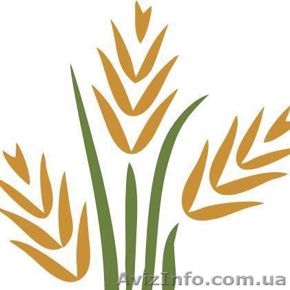 Селитра Чркаси - <ro>Изображение</ro><ru>Изображение</ru> #1, <ru>Объявление</ru> #1634935