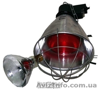 ЗЦМ, ЗСОМ, премиксы, БВМД, оборудование - <ro>Изображение</ro><ru>Изображение</ru> #3, <ru>Объявление</ru> #171435