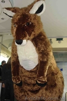 ОРГАНИЗАЦИЯ ПРАЗДНИКОВ  ЧЕРКАССЫ - <ro>Изображение</ro><ru>Изображение</ru> #5, <ru>Объявление</ru> #193709