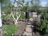 Два дома на одном участке  в г.Смела.Черкасская обл. - <ro>Изображение</ro><ru>Изображение</ru> #1, <ru>Объявление</ru> #304313