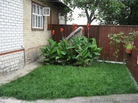  1/2 дома   - <ro>Изображение</ro><ru>Изображение</ru> #4, <ru>Объявление</ru> #358372