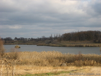 Оксана ksynya-83@mail.ru 0631335409 - <ro>Изображение</ro><ru>Изображение</ru> #1, <ru>Объявление</ru> #451859