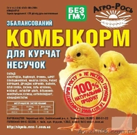  комбикорм от производителя - <ro>Изображение</ro><ru>Изображение</ru> #1, <ru>Объявление</ru> #502722