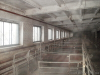 свинарник под розборку - <ro>Изображение</ro><ru>Изображение</ru> #9, <ru>Объявление</ru> #484290