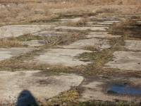 (*дорожная плита ) - <ro>Изображение</ro><ru>Изображение</ru> #1, <ru>Объявление</ru> #484281