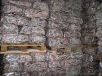 Продам плотву свежемороженную - <ro>Изображение</ro><ru>Изображение</ru> #3, <ru>Объявление</ru> #554651