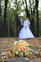 Фотосъемка свадеб. Фотостудия "Викинг". - <ro>Изображение</ro><ru>Изображение</ru> #6, <ru>Объявление</ru> #275388