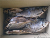 Рыба вяленая,копченая,мороженая - <ro>Изображение</ro><ru>Изображение</ru> #2, <ru>Объявление</ru> #622517