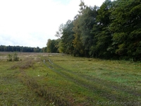 Участок возле леса 10 км от Черкасс. - <ro>Изображение</ro><ru>Изображение</ru> #2, <ru>Объявление</ru> #657018