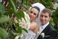 Фотограф на свадьбу Natalis-foto - <ro>Изображение</ro><ru>Изображение</ru> #2, <ru>Объявление</ru> #683190