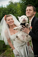 Фотограф на свадьбу Natalis-foto - <ro>Изображение</ro><ru>Изображение</ru> #1, <ru>Объявление</ru> #683190