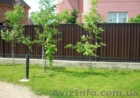 Кроля из металлочерепицы ! Качество выше цены ! - <ro>Изображение</ro><ru>Изображение</ru> #6, <ru>Объявление</ru> #683183