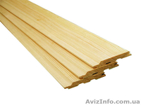 Лиственница сибирская Черкассы Украина - <ro>Изображение</ro><ru>Изображение</ru> #1, <ru>Объявление</ru> #153154