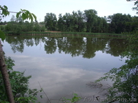 Продам дом в с. Севастьяновка, Кристиновский район, 32 сотки - <ro>Изображение</ro><ru>Изображение</ru> #8, <ru>Объявление</ru> #717214