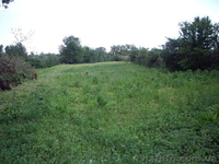 Продам дом в с. Севастьяновка, Кристиновский район, 32 сотки - <ro>Изображение</ro><ru>Изображение</ru> #9, <ru>Объявление</ru> #717214