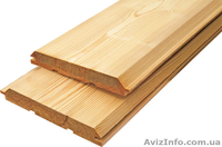 Лиственница сибирская Черкассы Украина - <ro>Изображение</ro><ru>Изображение</ru> #5, <ru>Объявление</ru> #153154