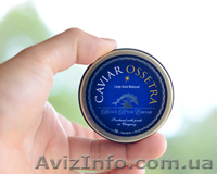 Икра черная осетровая белужья (белуги) - <ro>Изображение</ro><ru>Изображение</ru> #4, <ru>Объявление</ru> #741033