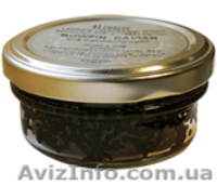 Икра черная осетровая белужья (белуги) - <ro>Изображение</ro><ru>Изображение</ru> #5, <ru>Объявление</ru> #741033