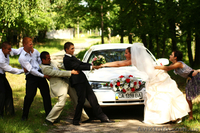 Відеозйомка вашого весілля! - <ro>Изображение</ro><ru>Изображение</ru> #5, <ru>Объявление</ru> #791711