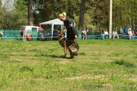 Щенки нем.овчарки от импортированных родителей.Германия. - <ro>Изображение</ro><ru>Изображение</ru> #10, <ru>Объявление</ru> #826480