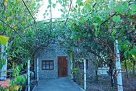 Дача-Дом у моря 4 сот. Крым Феодосия - <ro>Изображение</ro><ru>Изображение</ru> #2, <ru>Объявление</ru> #841656