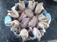 перепела.яйцо инкубационное .несушки.        - <ro>Изображение</ro><ru>Изображение</ru> #3, <ru>Объявление</ru> #101313