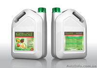 Органоминеральное удобрение ГУМИСИЛ - <ro>Изображение</ro><ru>Изображение</ru> #2, <ru>Объявление</ru> #878455