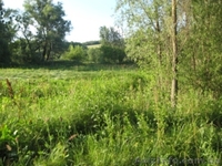 Продам добротный дом - <ro>Изображение</ro><ru>Изображение</ru> #7, <ru>Объявление</ru> #897517